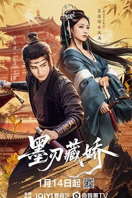 墨刃藏娇电视剧